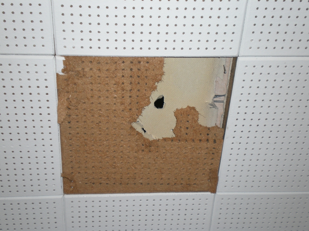 Permalink to Paper Ceiling Tiles Asbestos