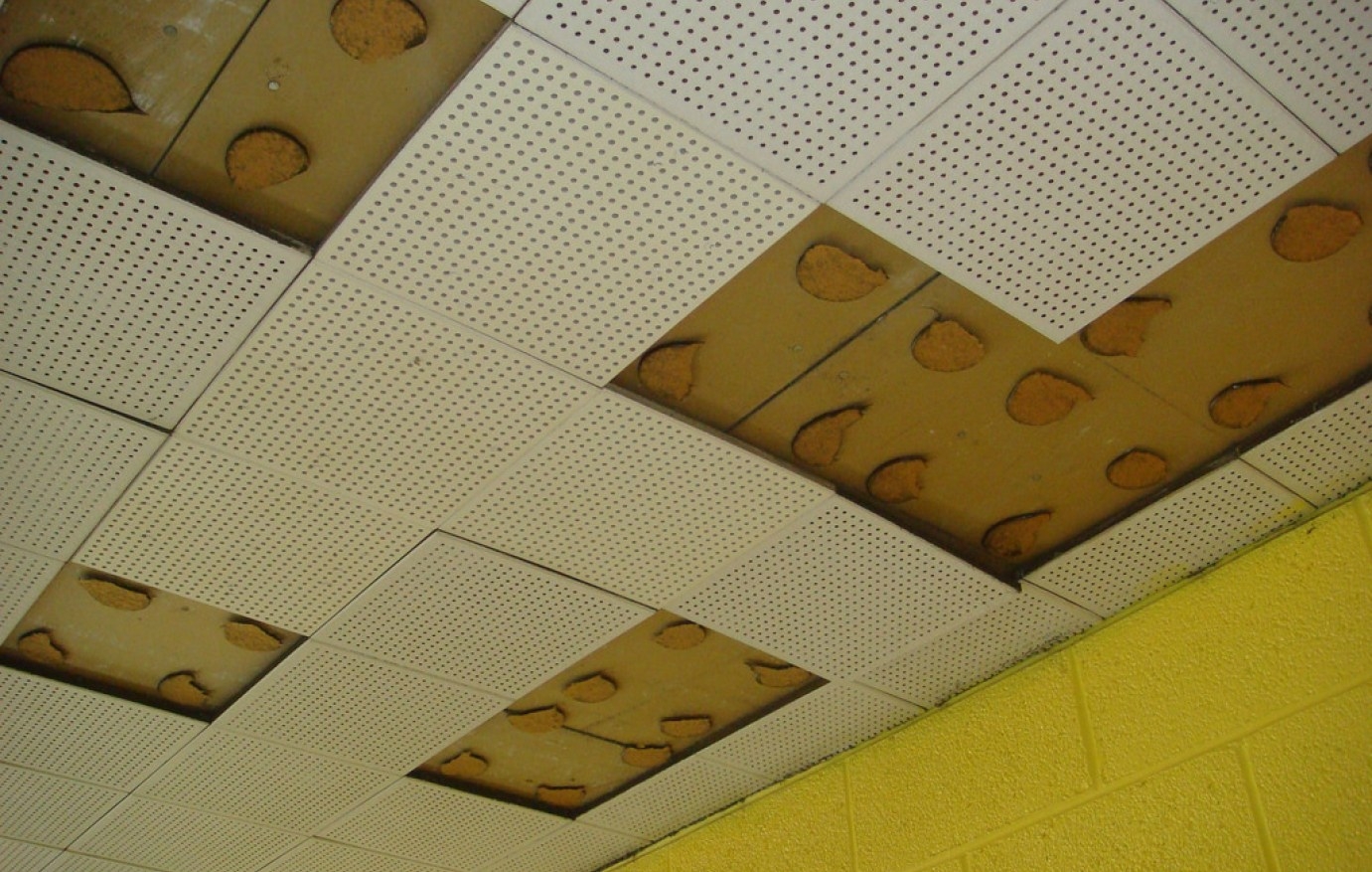 Pressed Cardboard Ceiling Tiles