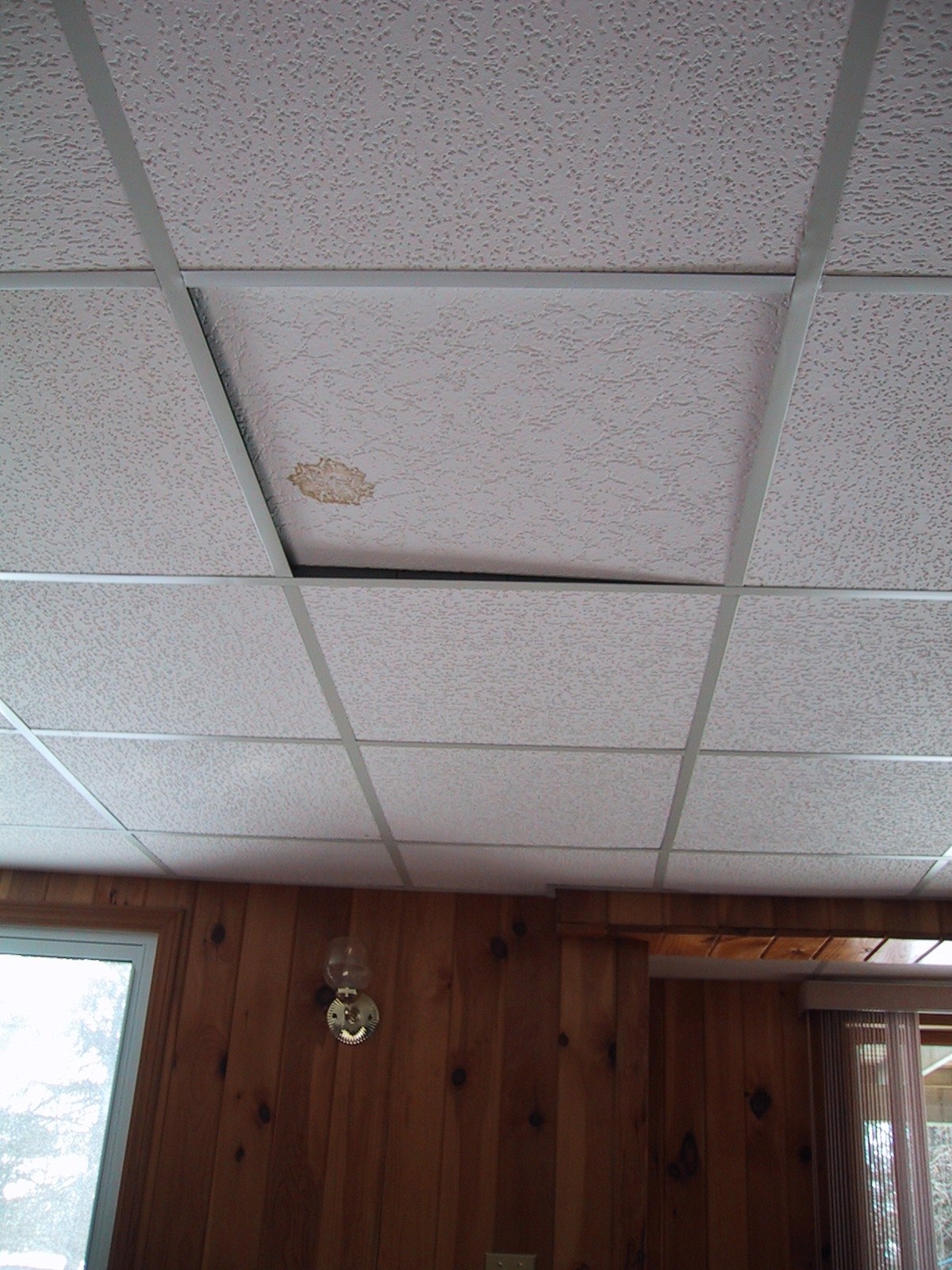 Size Of Asbestos Ceiling Tiles