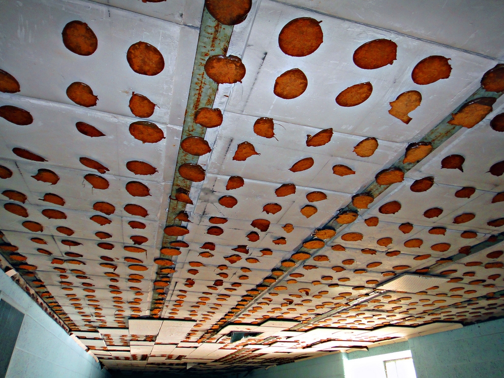 Tile Adhesive For Ceiling Tile Adhesive For Ceiling ceiling tile glue podsadhesive the majority of 1x1 ceil flickr 1024 X 768