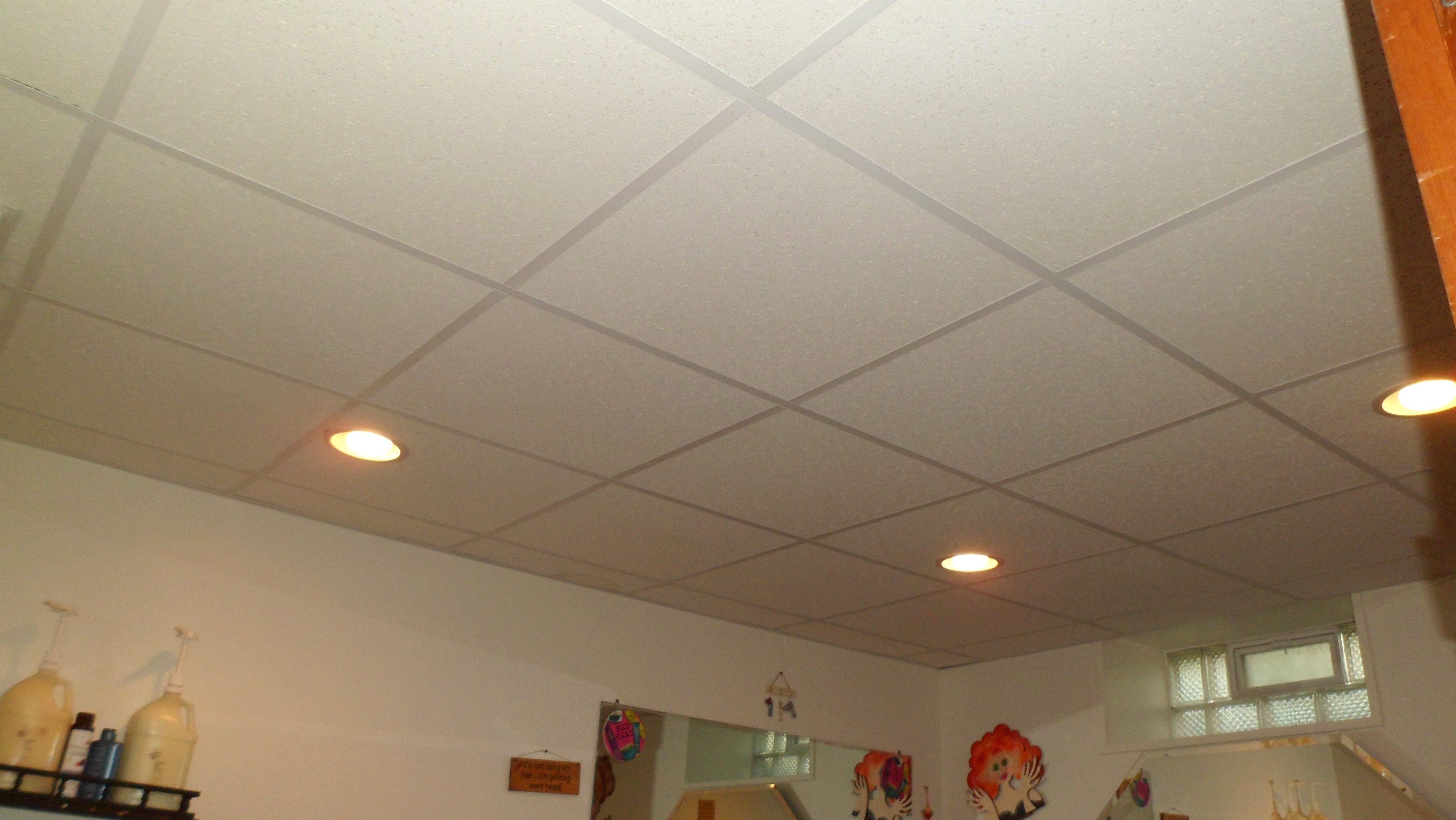 Permalink to Basement Recessed Lighting Drop Ceiling