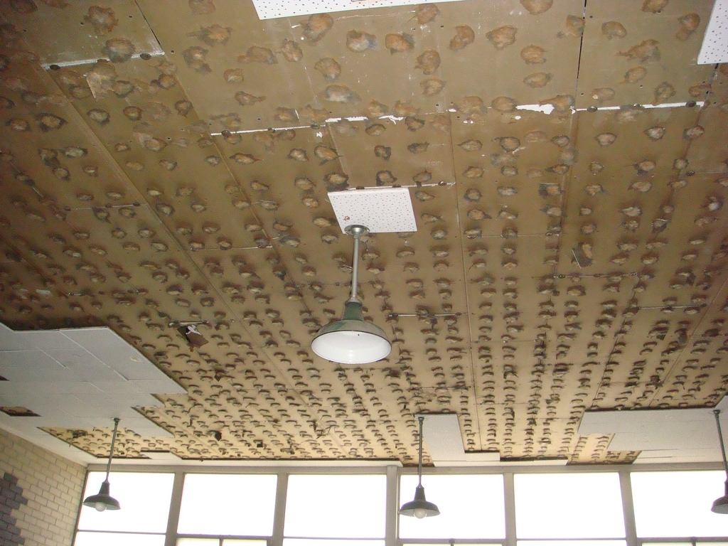 Brown Ceiling Tile Asbestos