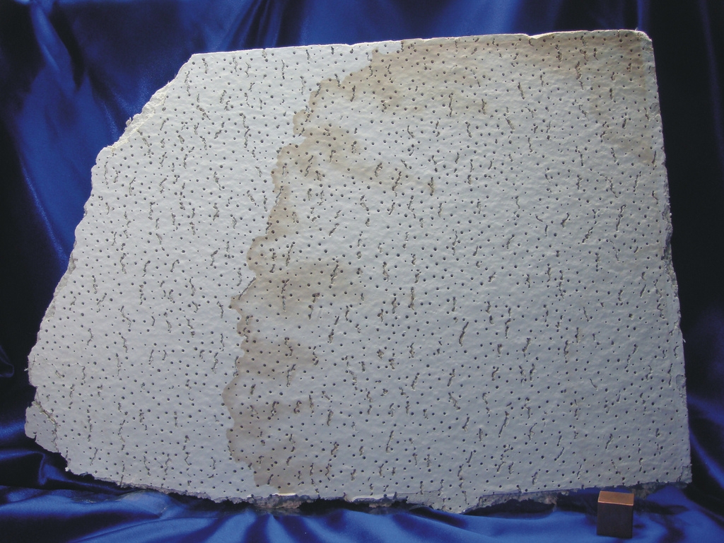 Do Drop Ceiling Tiles Contain Asbestos