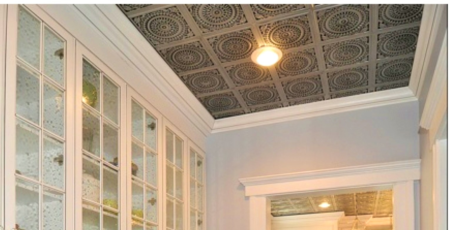 Plastic Ceiling Tile Hooksceiling plastic ceiling tiles prominent plastic coated