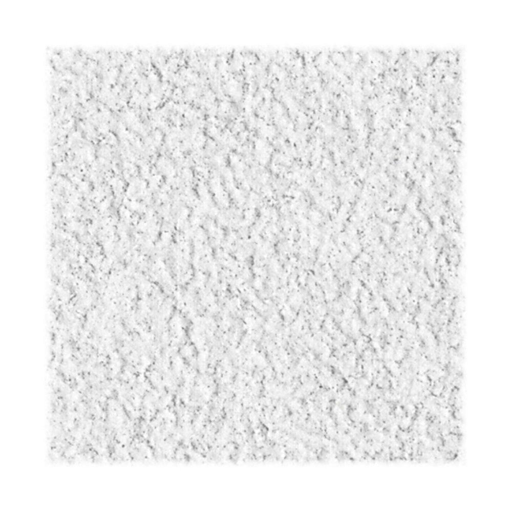 12 X 12 White Ceiling Tiles