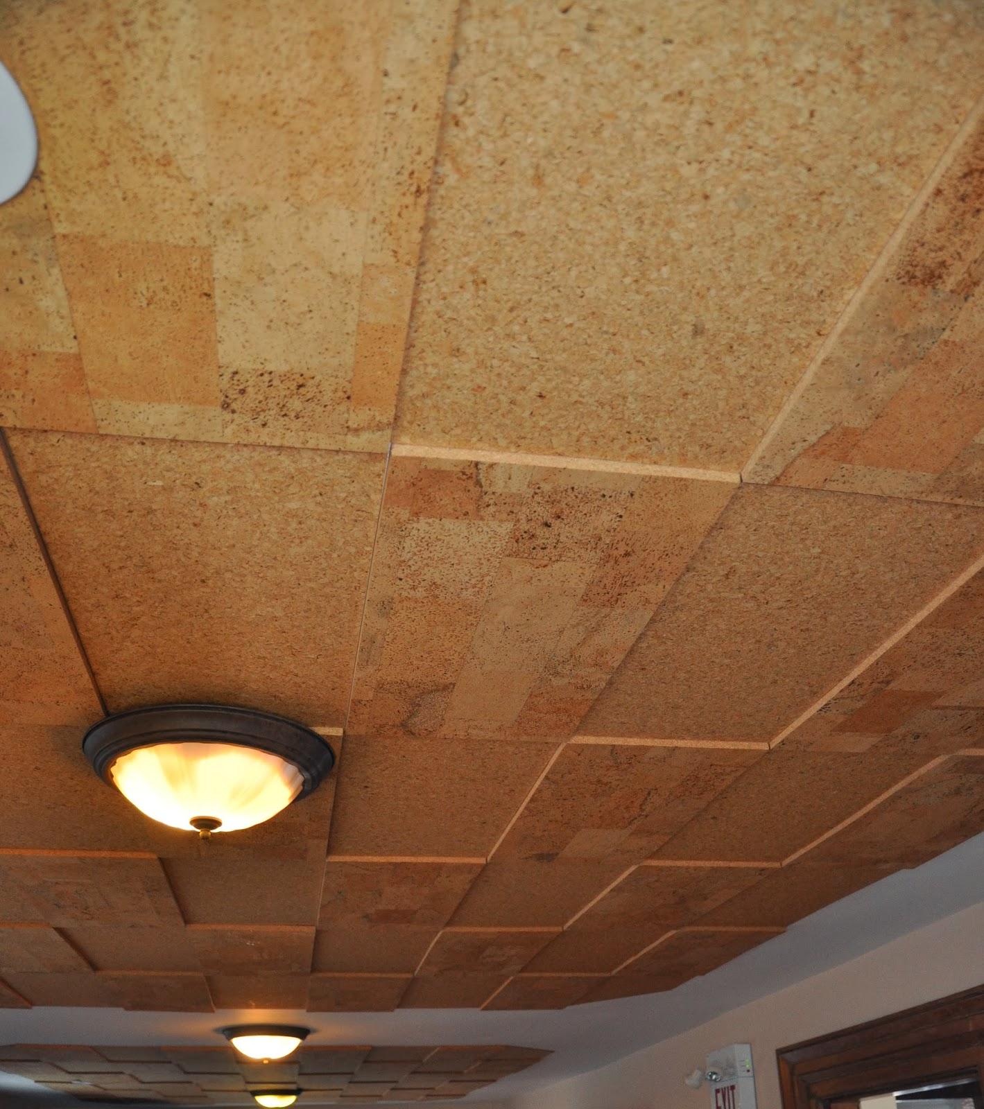 Covering Acoustic Ceiling Tilesjelinek cork group get corking corked walls the ideal wall