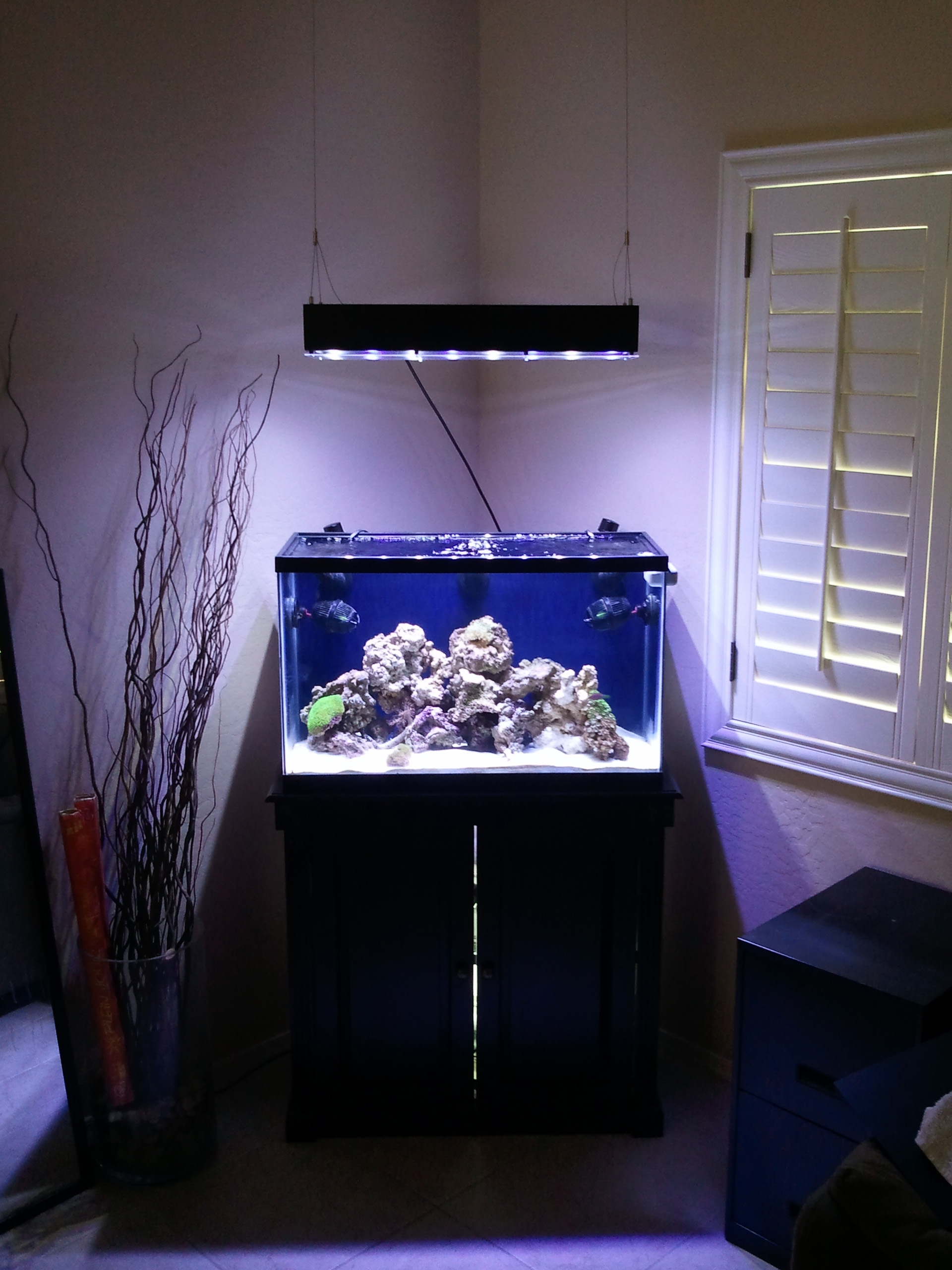 Permalink to Hanging Aquarium Light From Ceiling