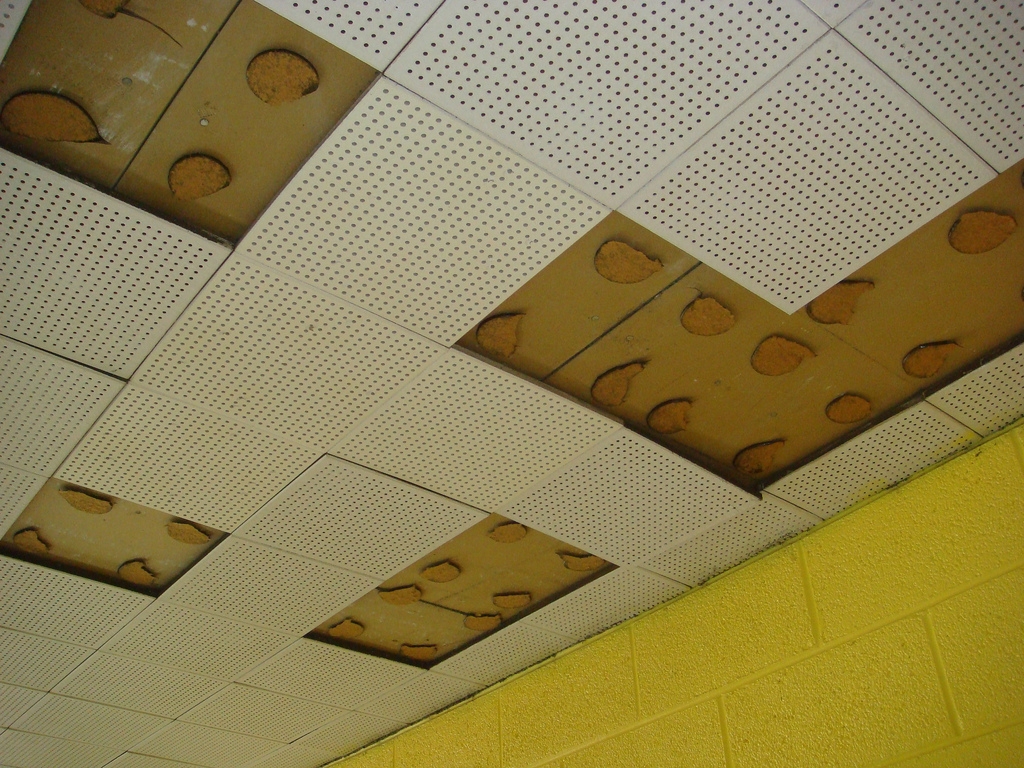 Perforated Ceiling Tiles Asbestos Perforated Ceiling Tiles Asbestos vintage ceiling tile asbestos adhesive partial view of c flickr 1024 X 768