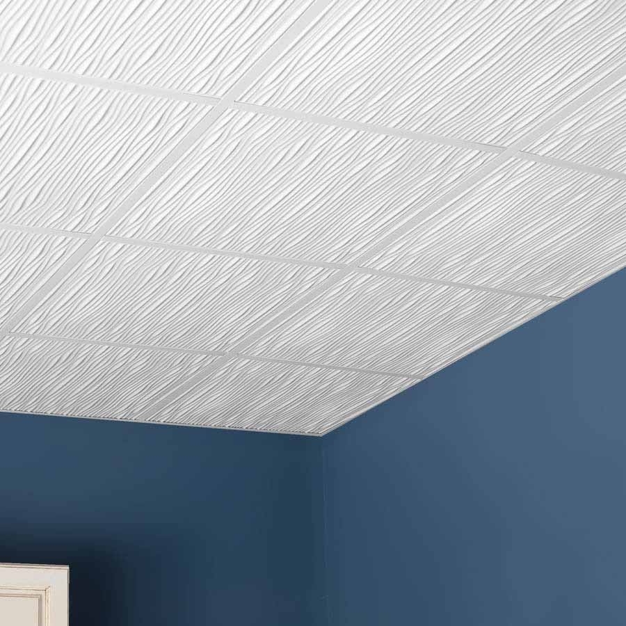 White Ceiling Tiles 2×2