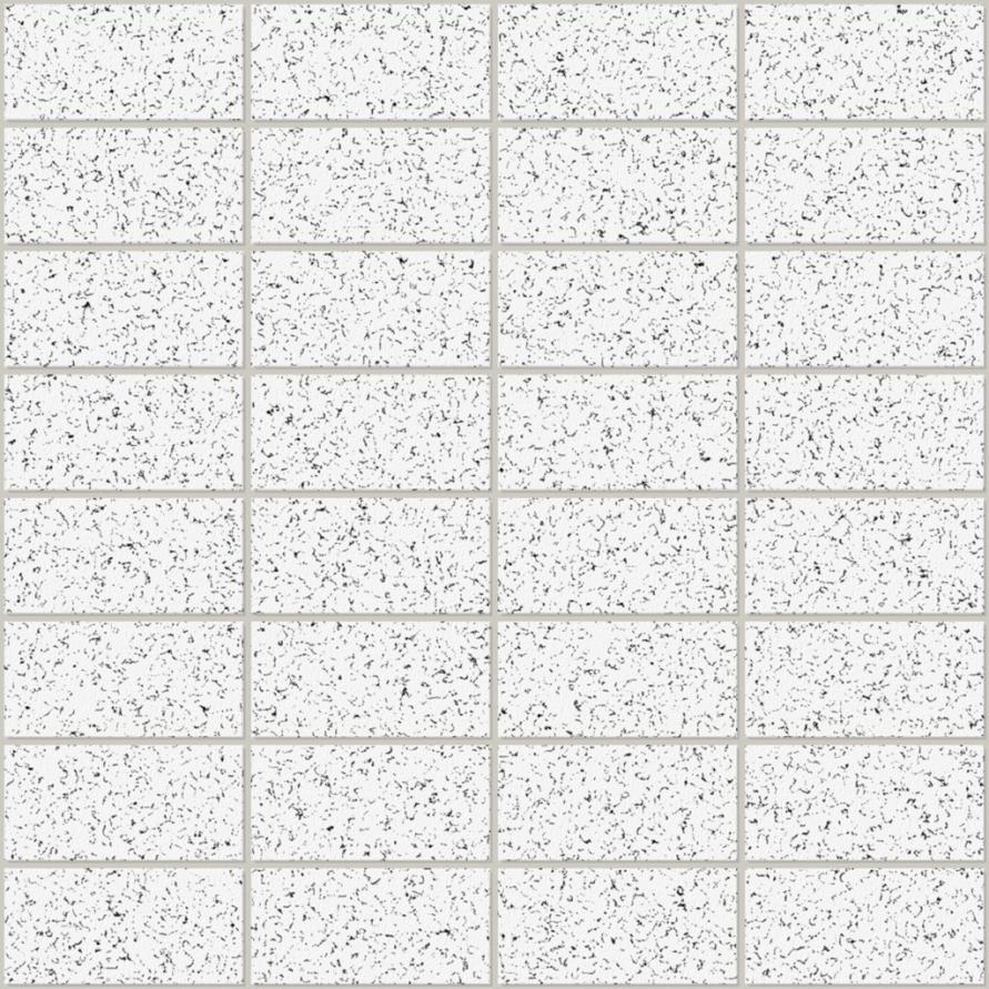 Acoustic Ceiling Tiles 2×4