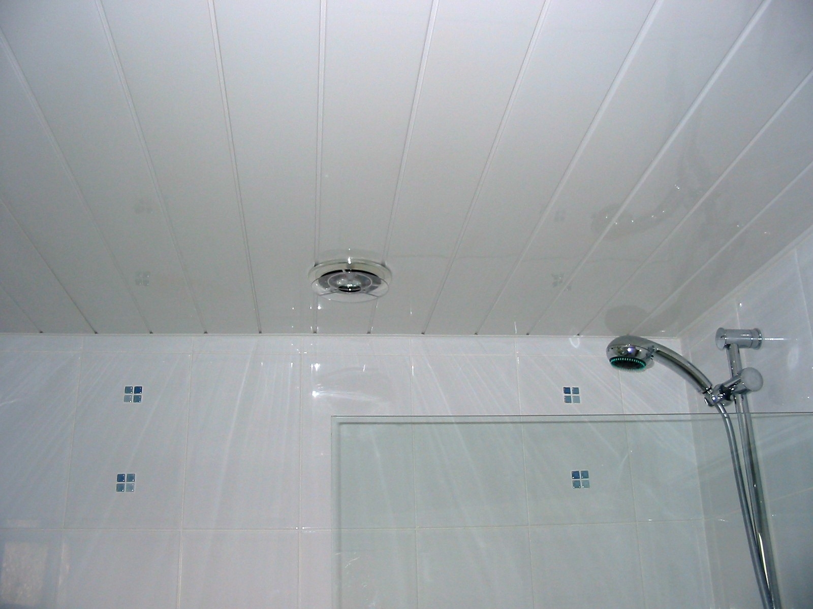 Bathroom Ceiling Tile Ideas