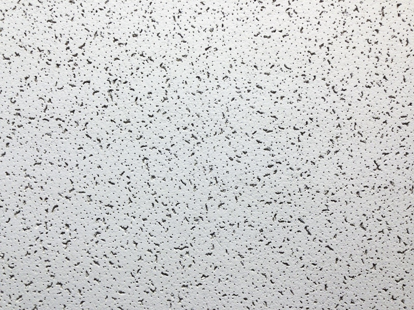 Cortega 2×4 Ceiling Tile