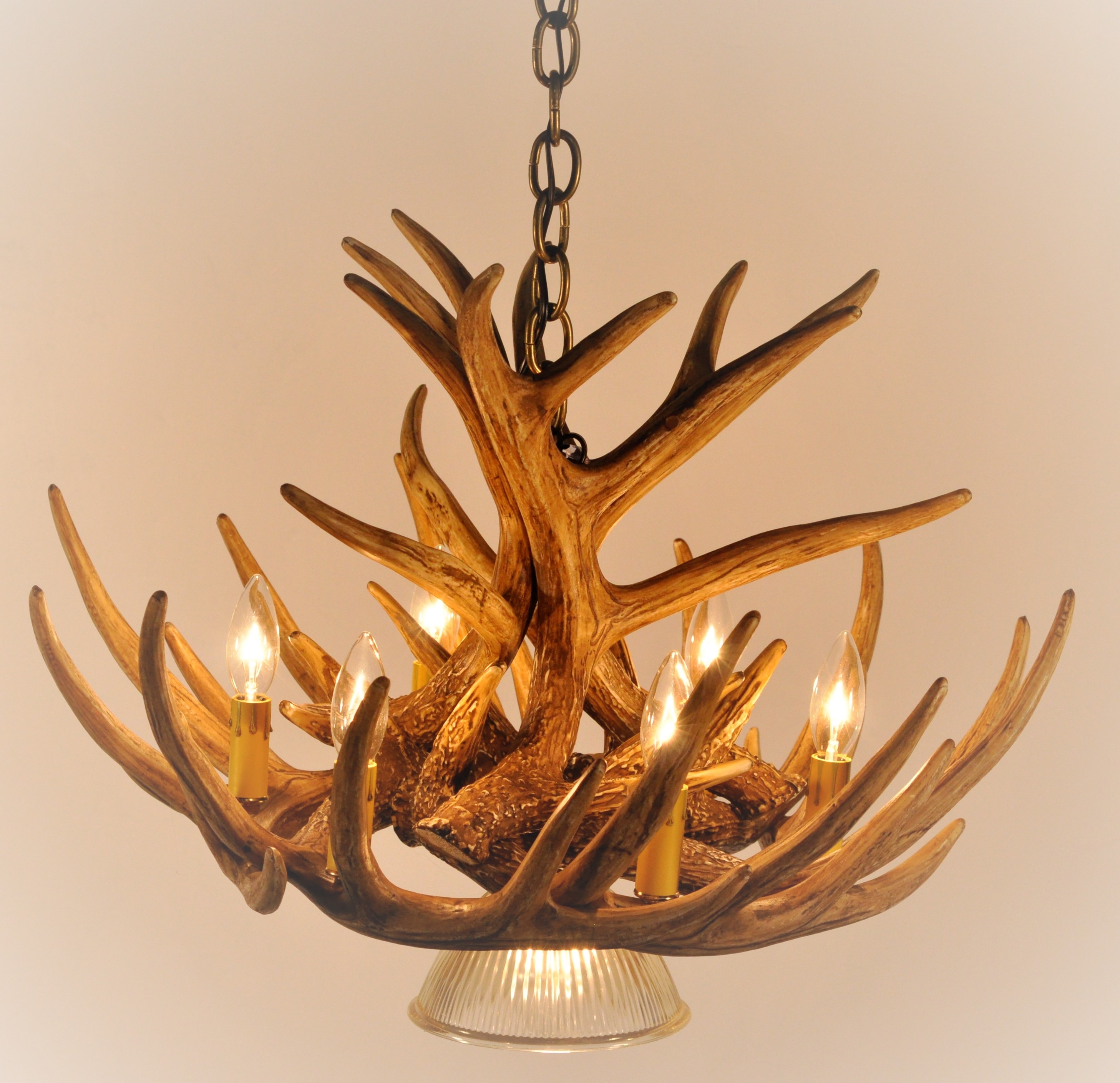 Deer Antler Ceiling Lightswhitetail deer 9 antler cascade chandelier with 1 downlight