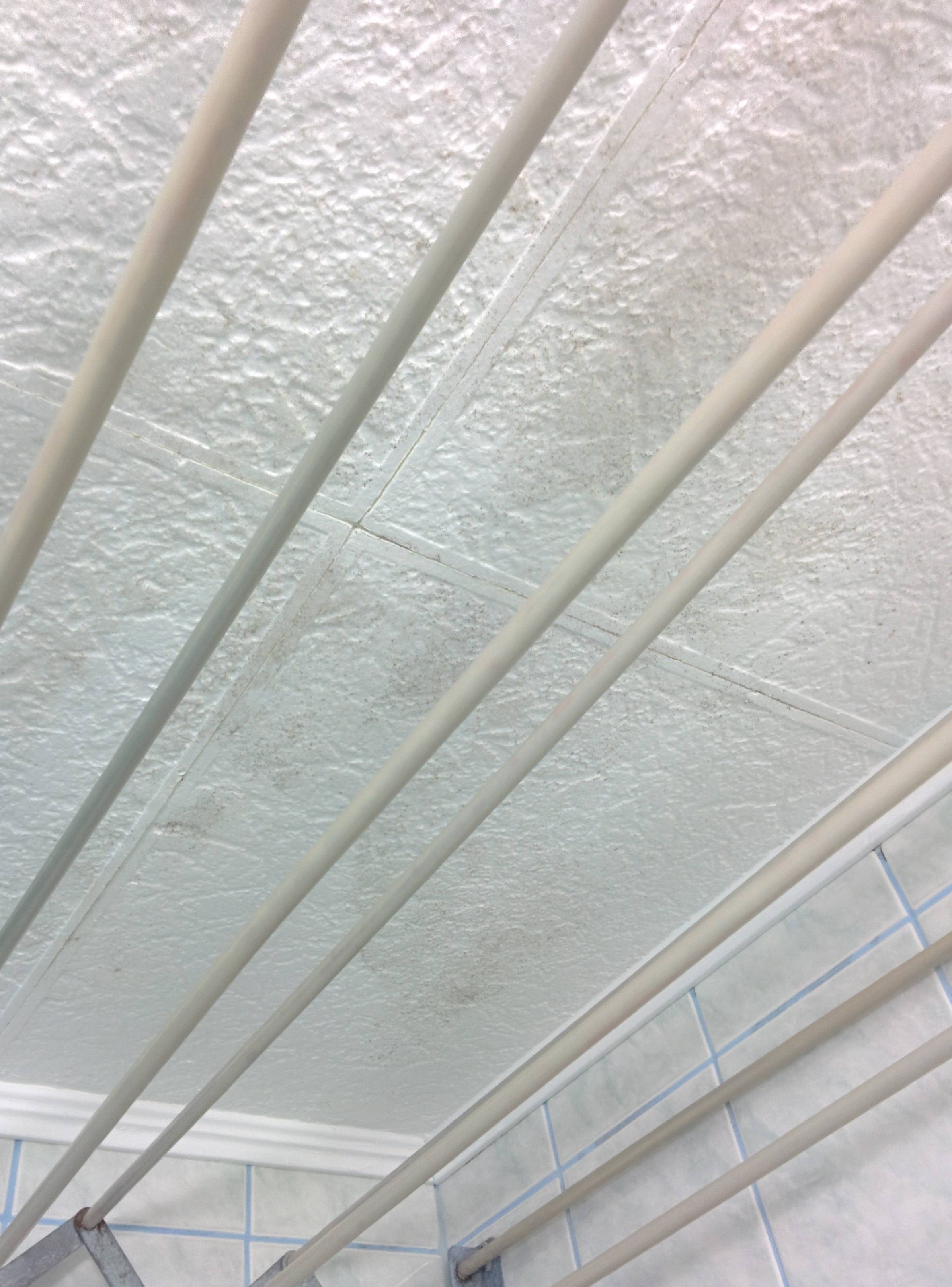 Mold Mildew Resistant Ceiling Tiles