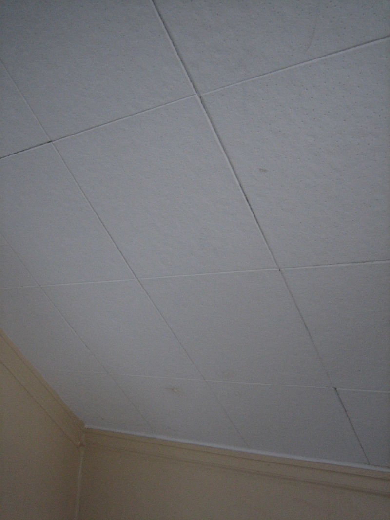 Old Cellulose Ceiling Tiles