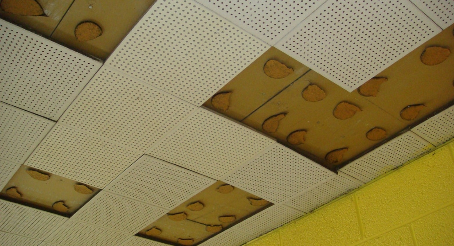 Self Adhesive Acoustic Ceiling Tiles