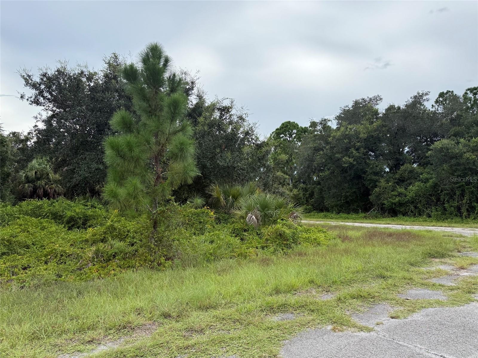 Lot 1 GASKINS CIR