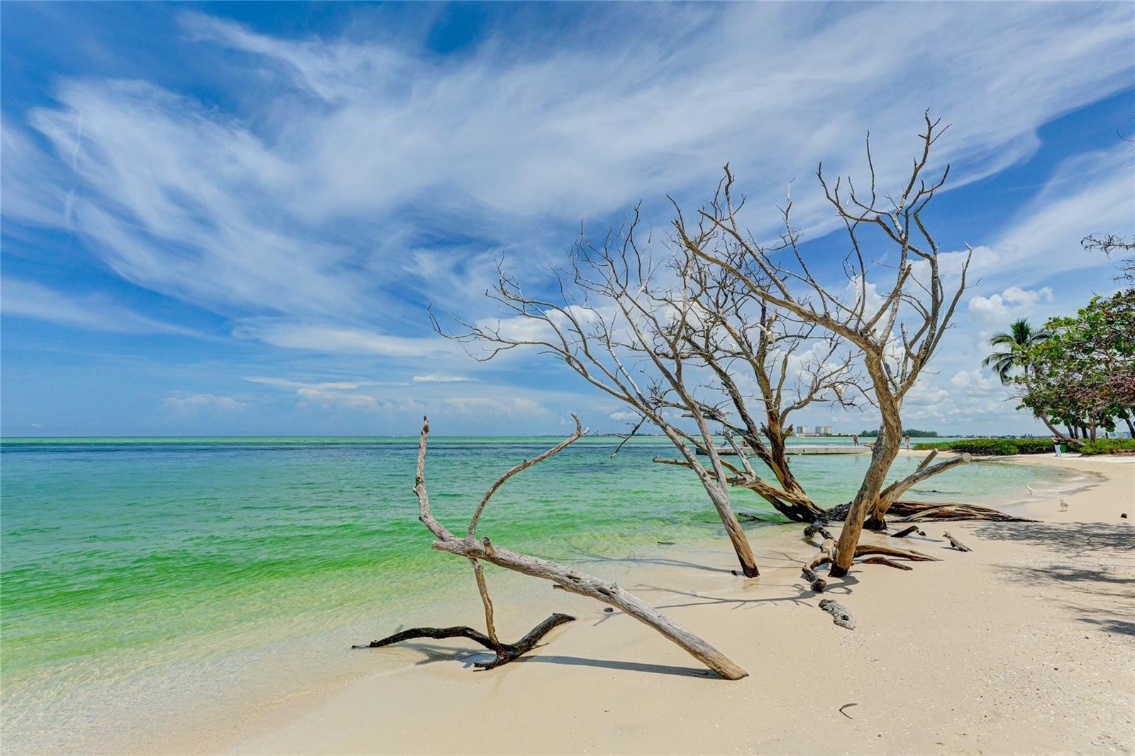 11 SANDY COVE RD #8F