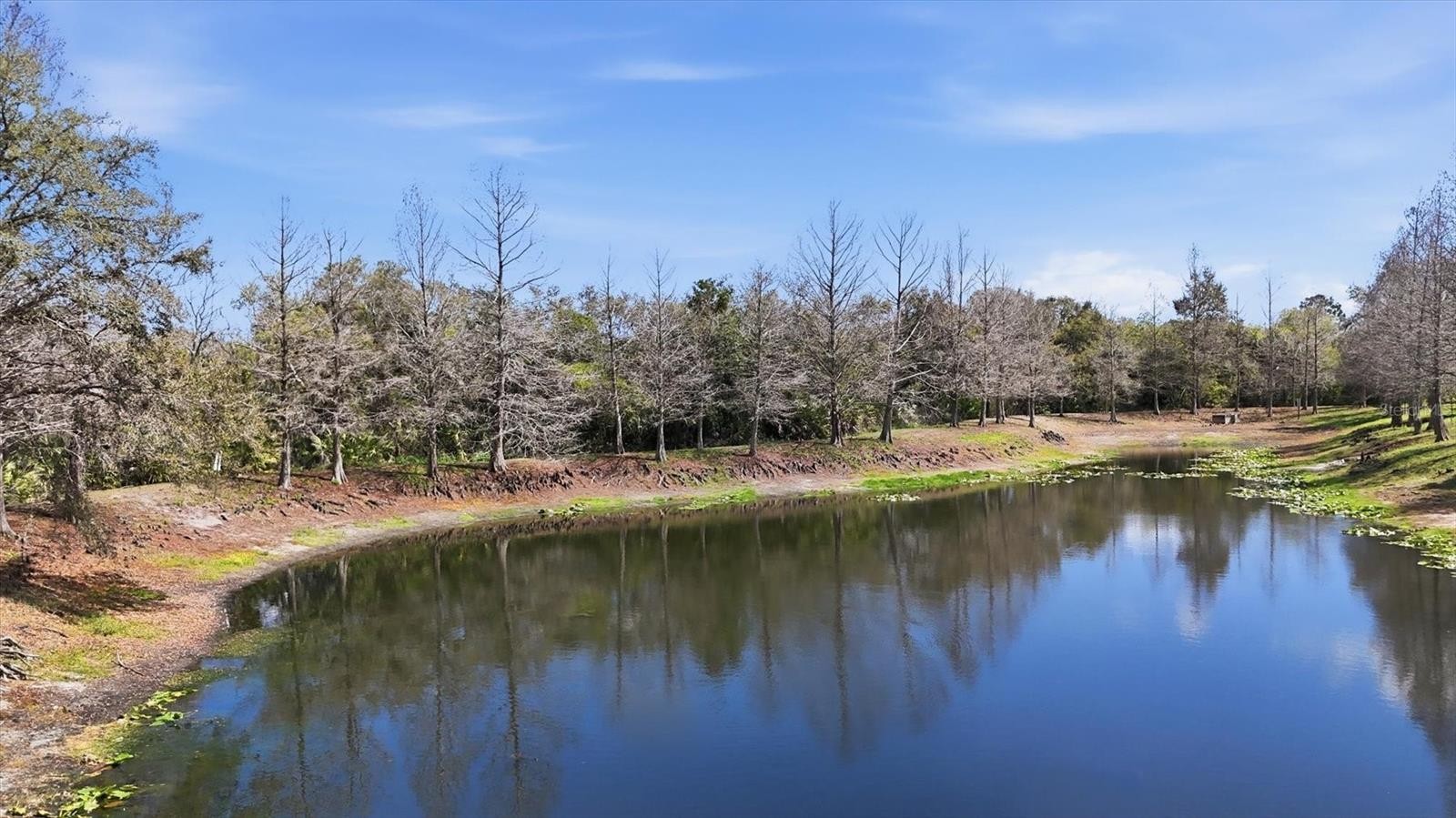 9038 WHITE SAGE LOOP