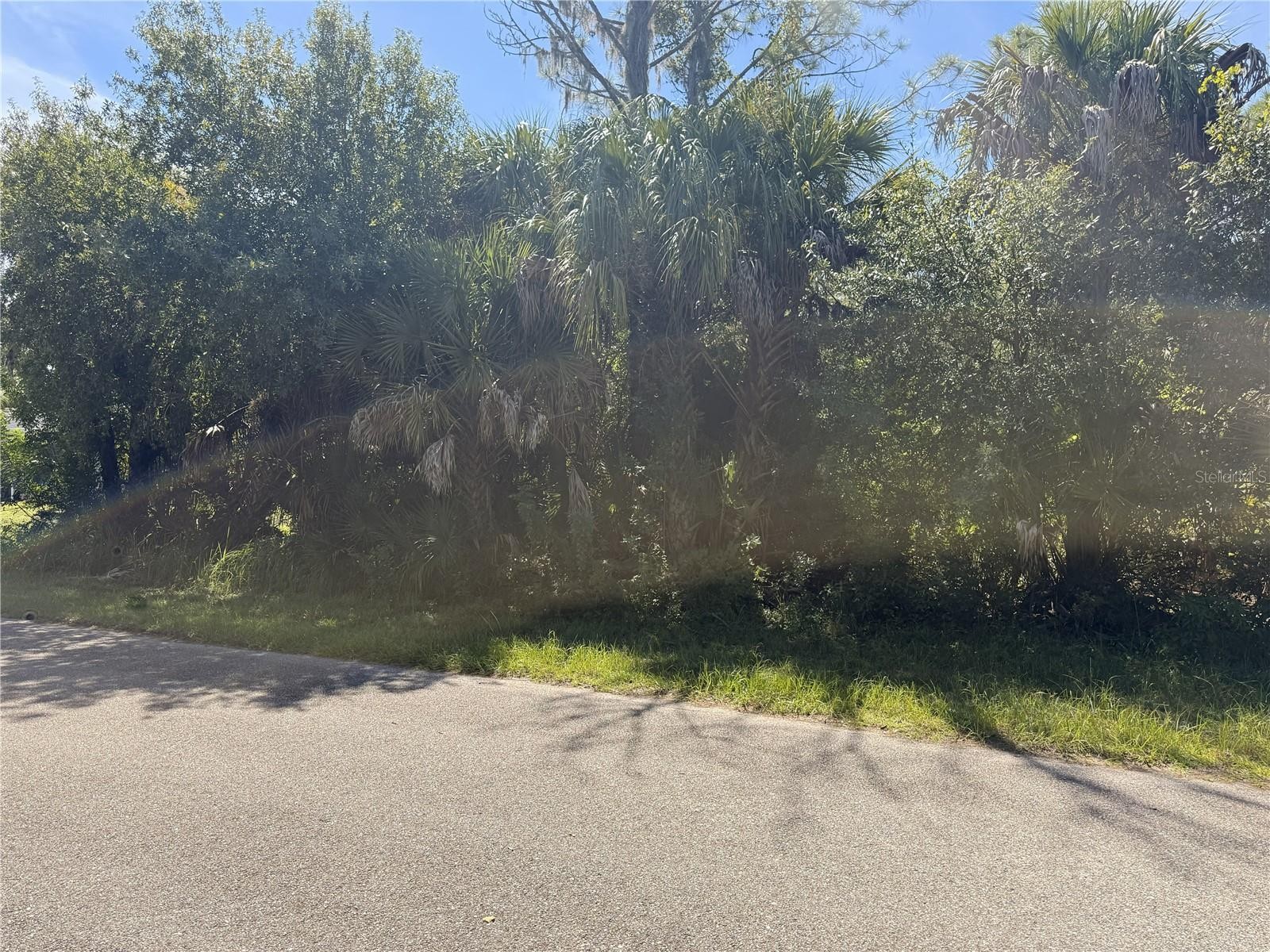 LOT 16 WALMSLEY AVE