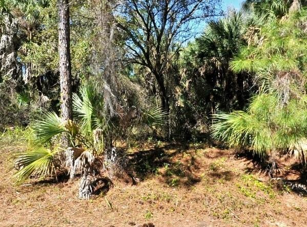 LOT 20 BLK 1749 34TH ADD TO PORT CHARLOTTE
