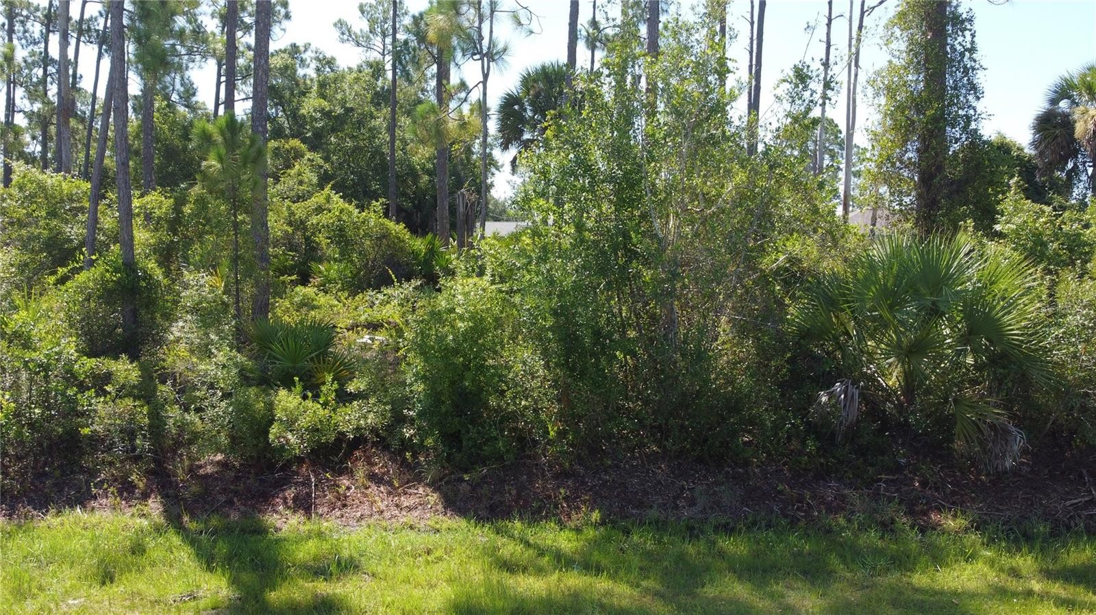 Lot 22 CLEARFIELD ST