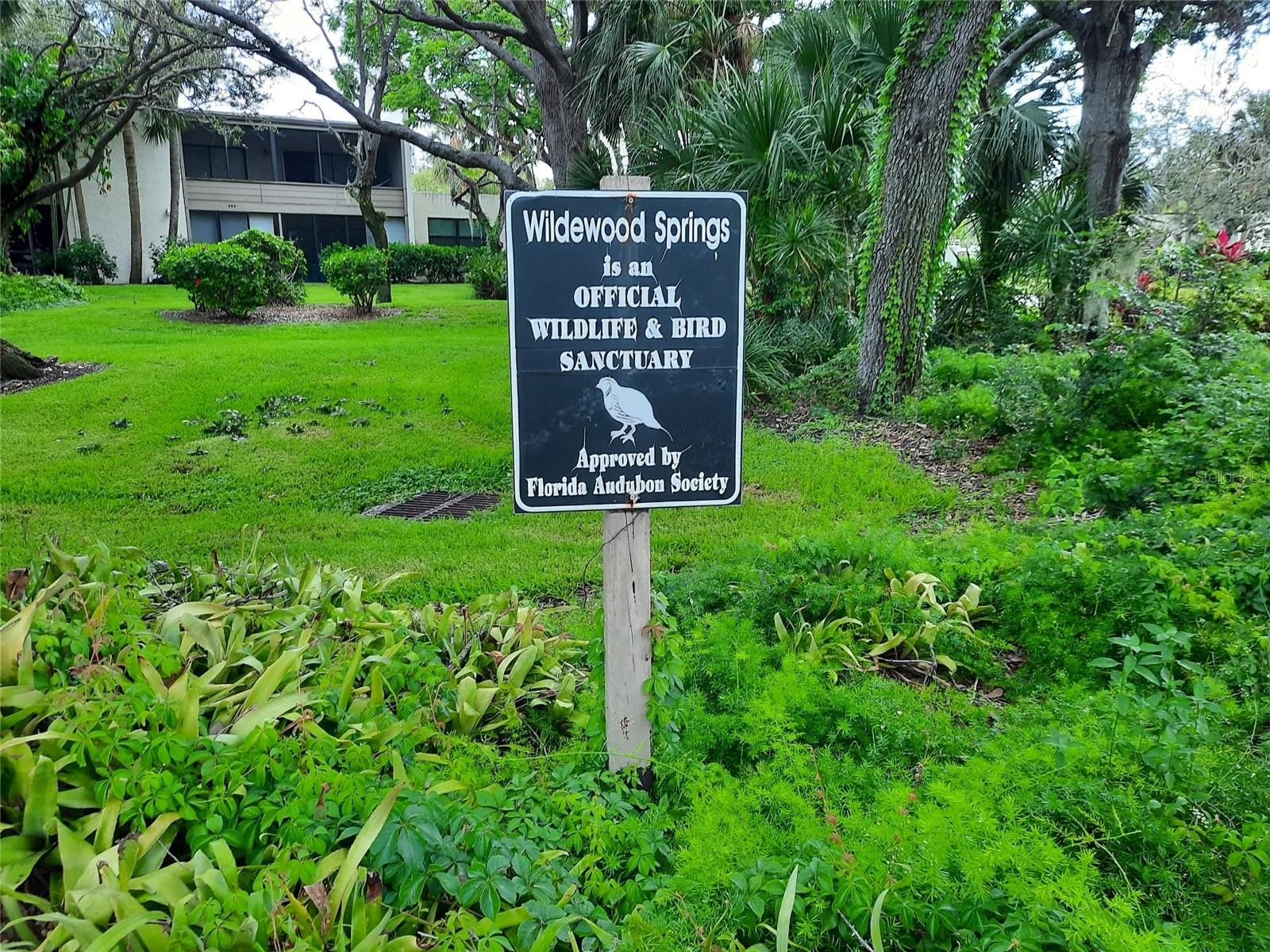 137 PINENEEDLE DR #137