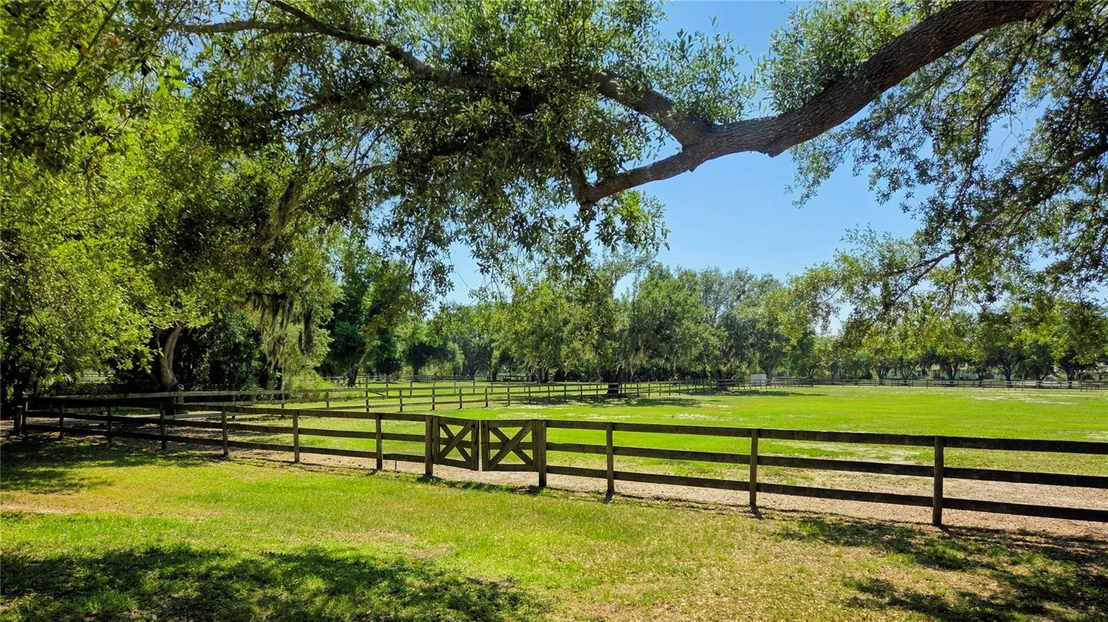 7783 SADDLE CREEK TRL