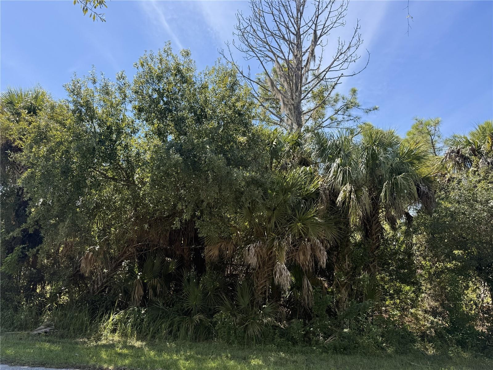 LOT 16 WALMSLEY AVE