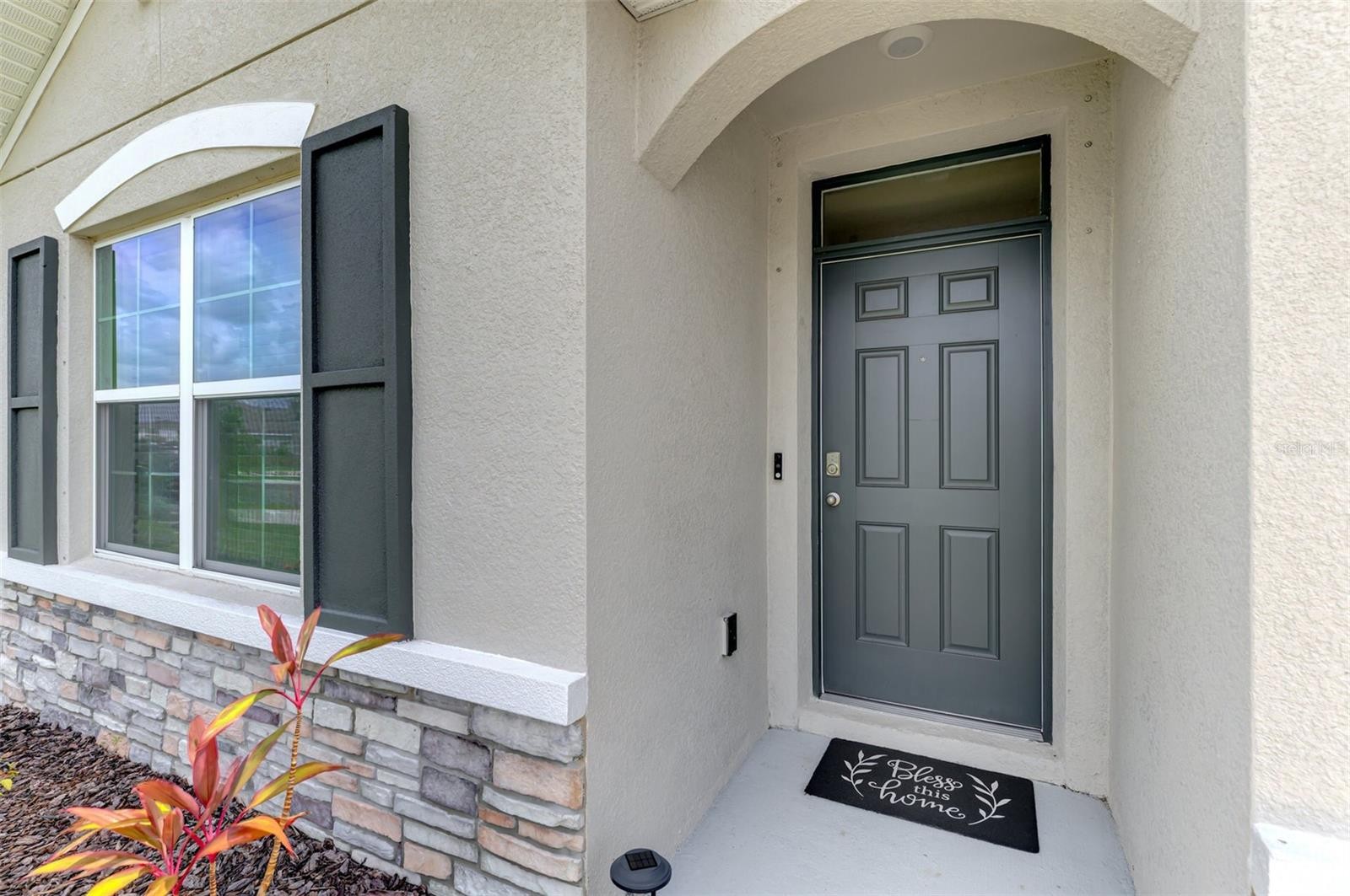 17733 CANOPY PL