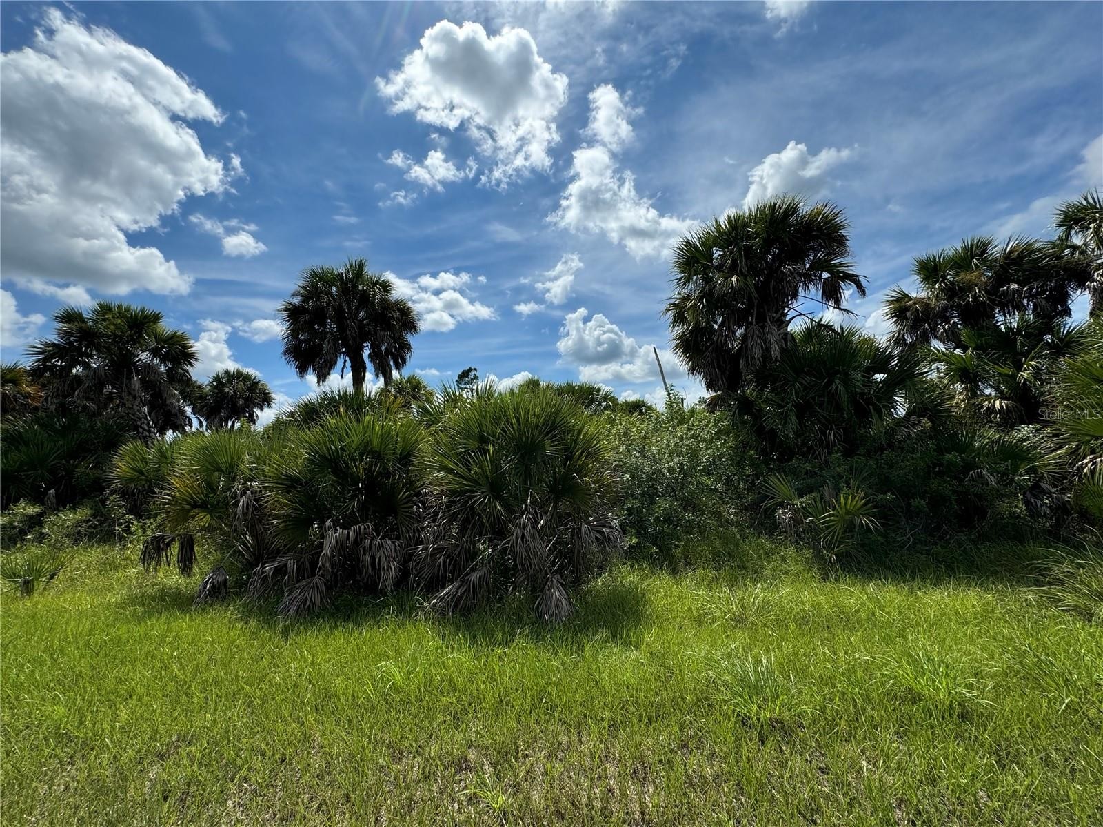 Snowdrift Ter North Port Florida 34288