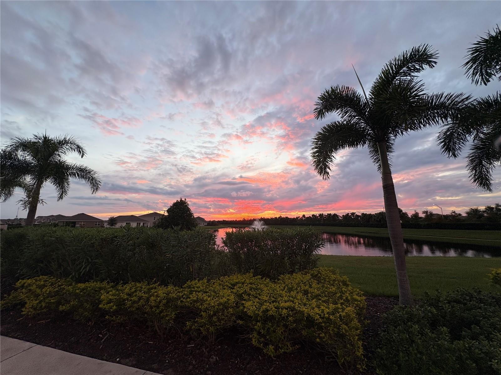 17917 CANOPY PL