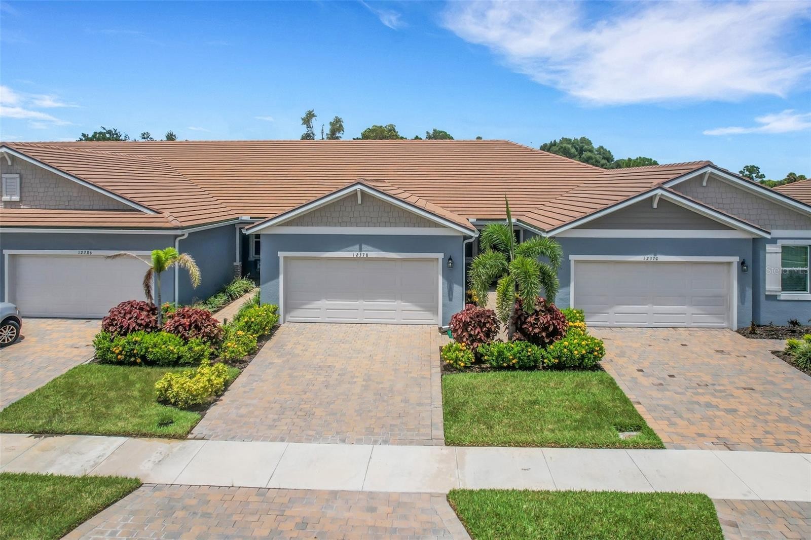 12378 ASANA CT