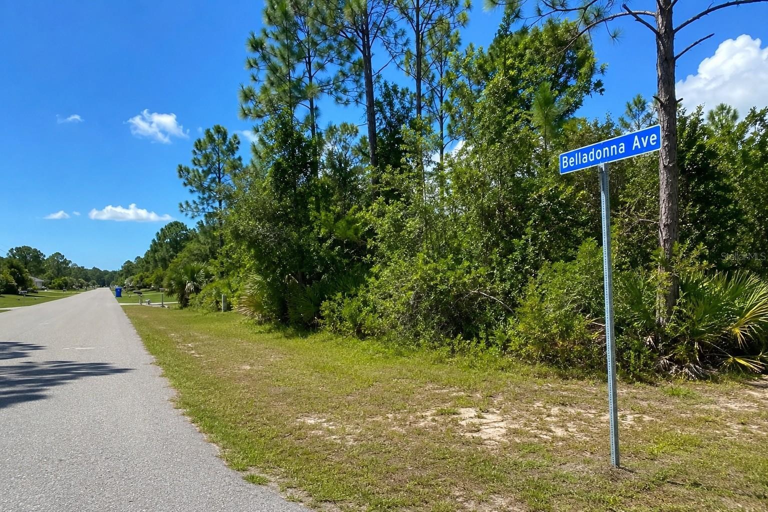 BELLADONNA AVE