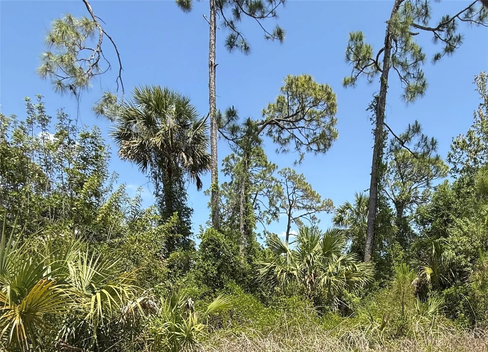 Lot 15 COASTAL ST