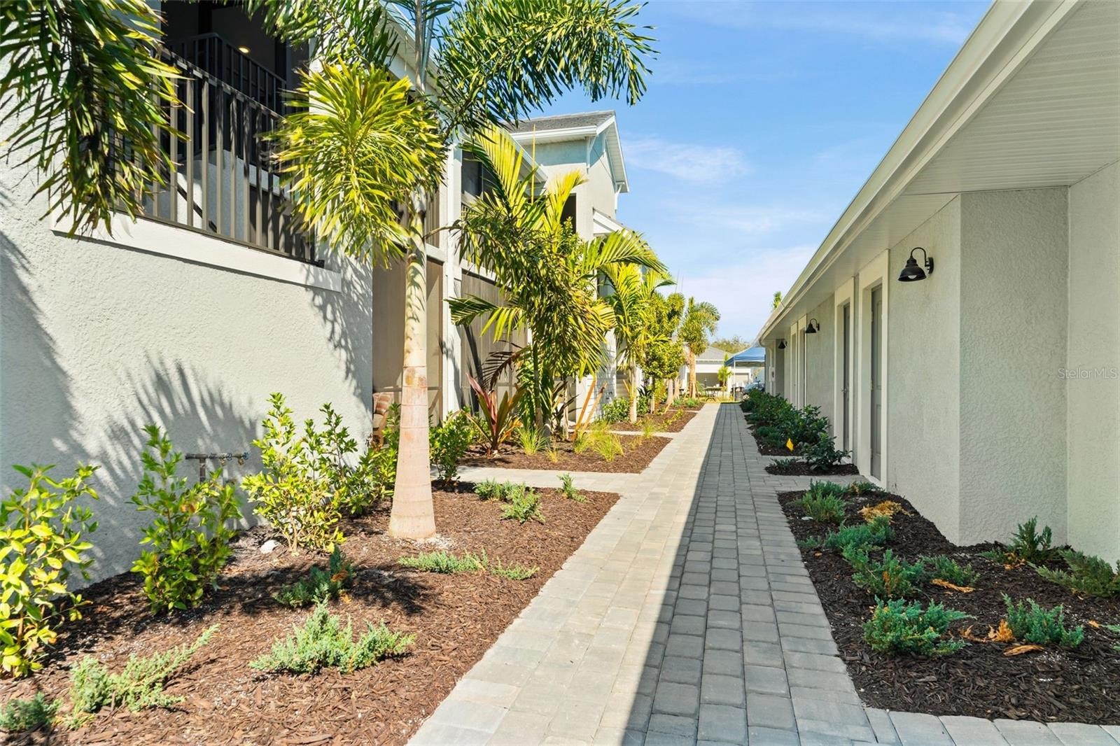 19015 SCALLOP LOOP #106