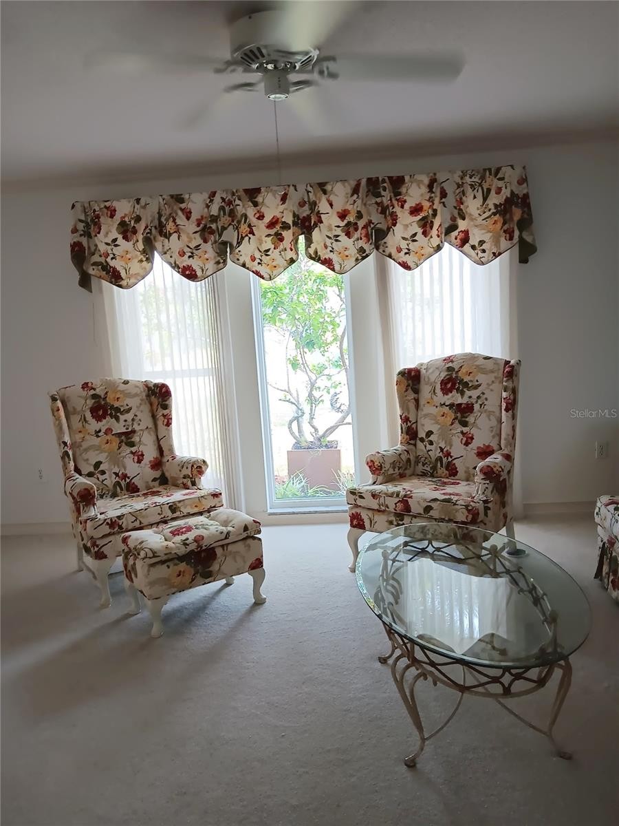 980 N GONDOLA DR