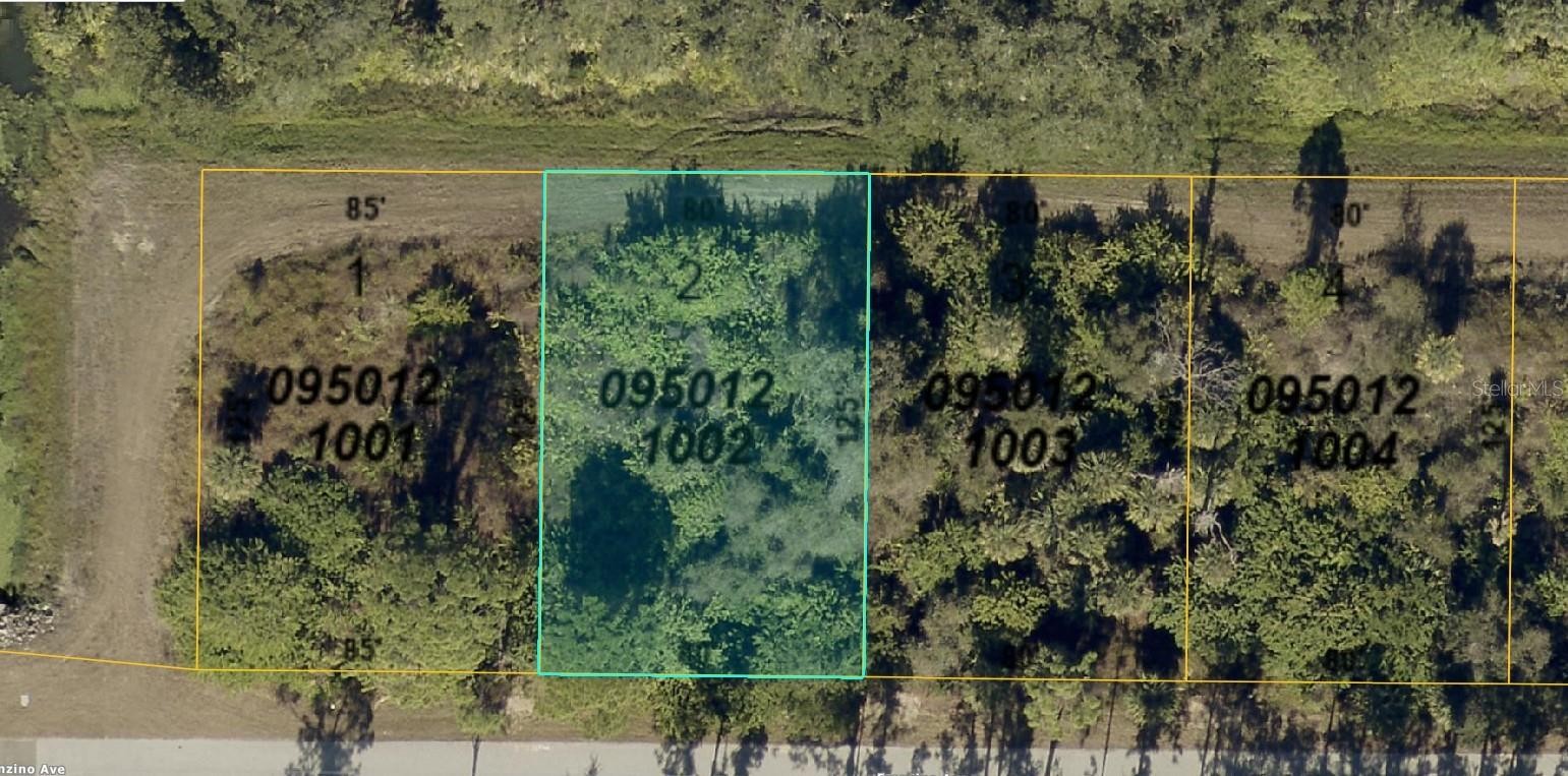0950121002 FRANZINO AVE