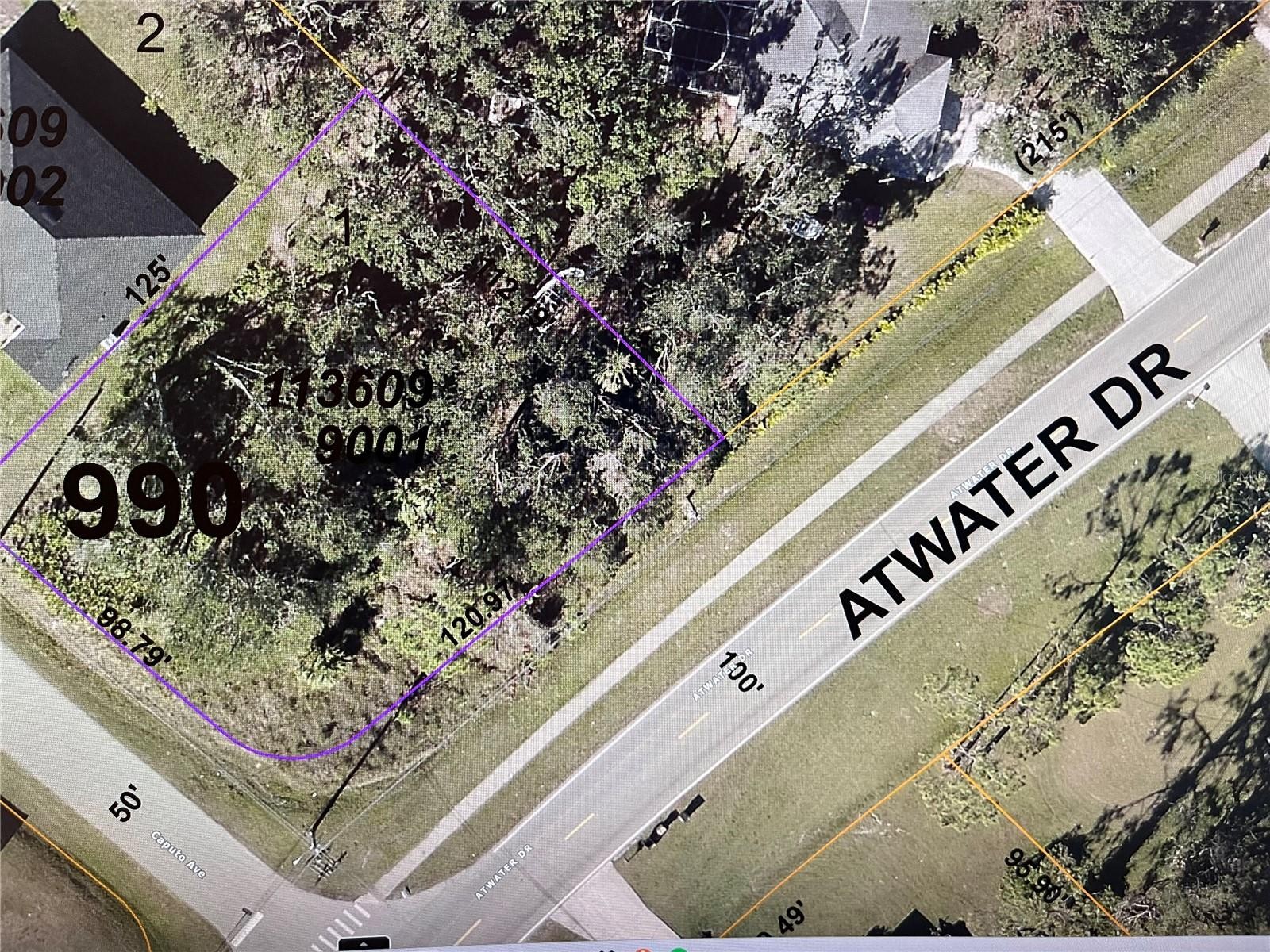 Lot 1 Caputo Ave North Port Florida 34288