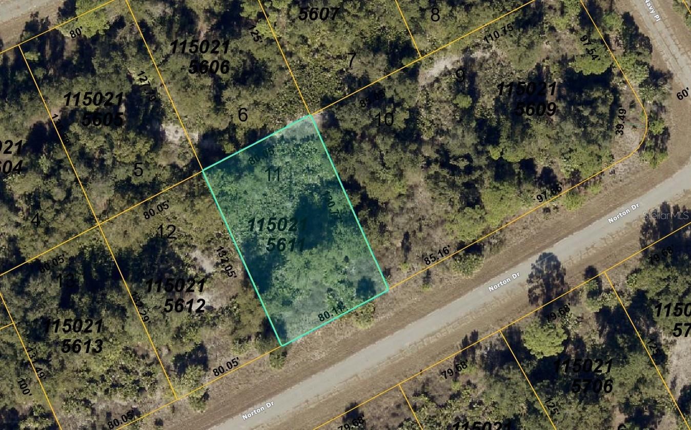 1150215611 NORTON DR