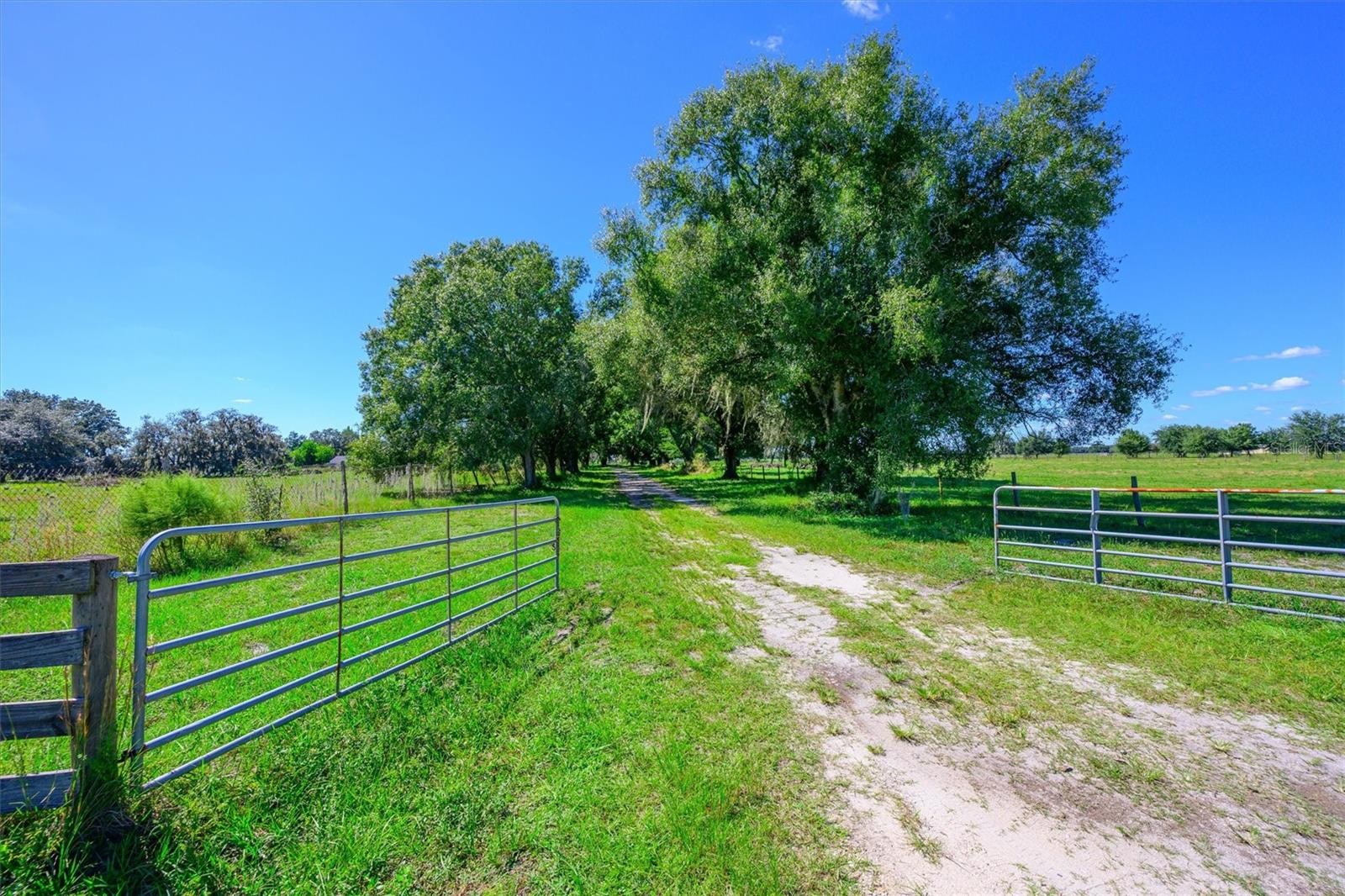 10650 BRENDLE RD