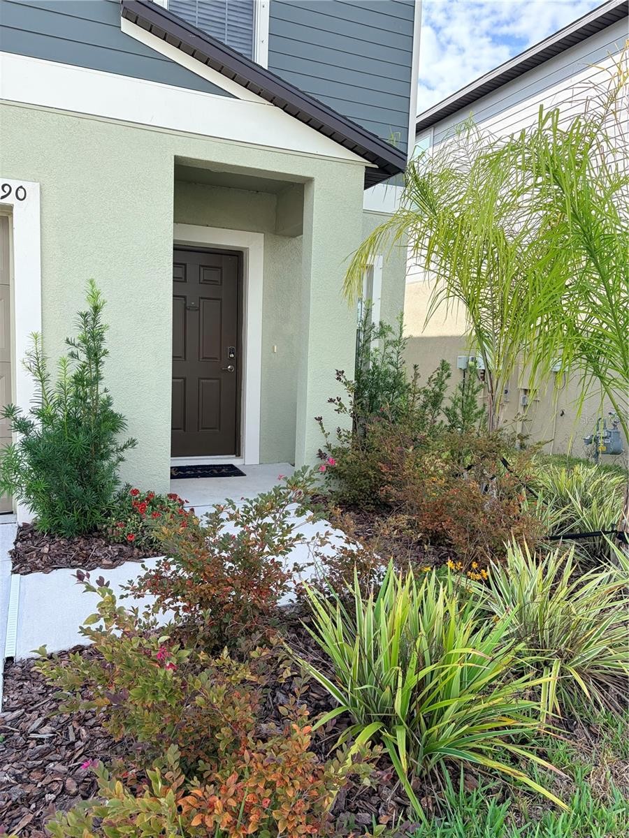 12490 SWEET ANGEL AURA WAY