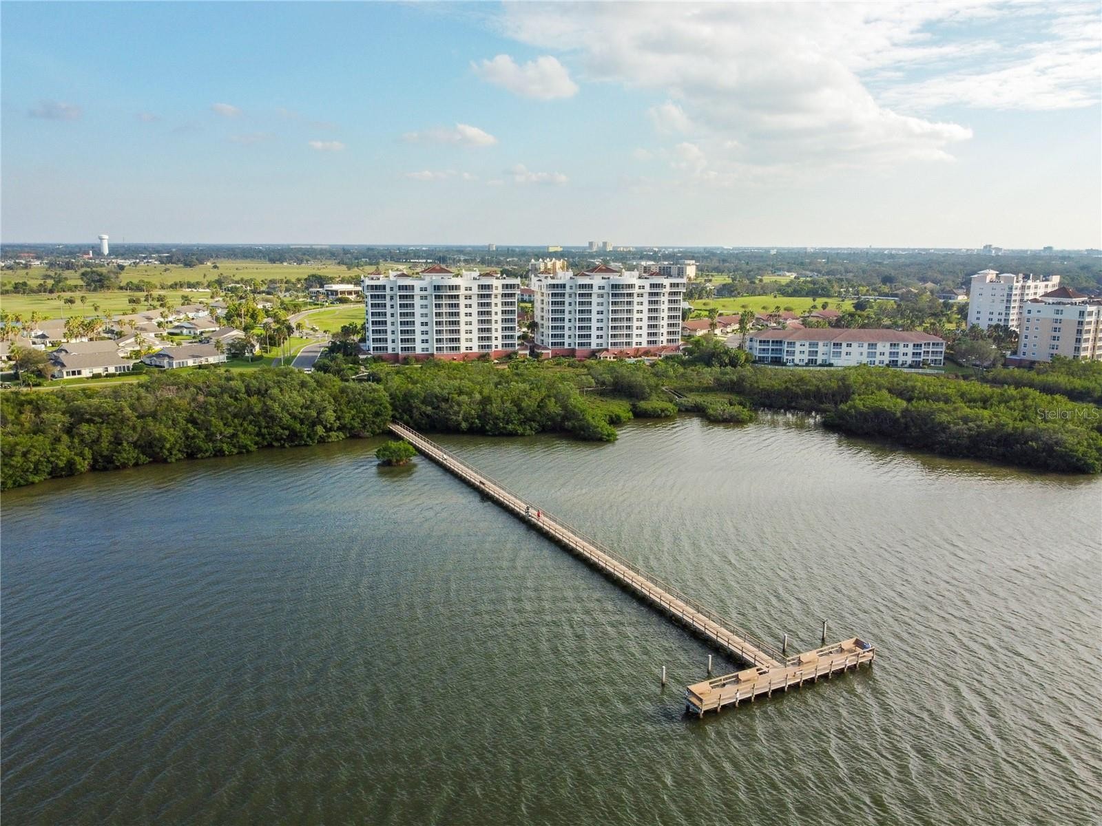 2925 TERRA CEIA BAY BLVD #2203