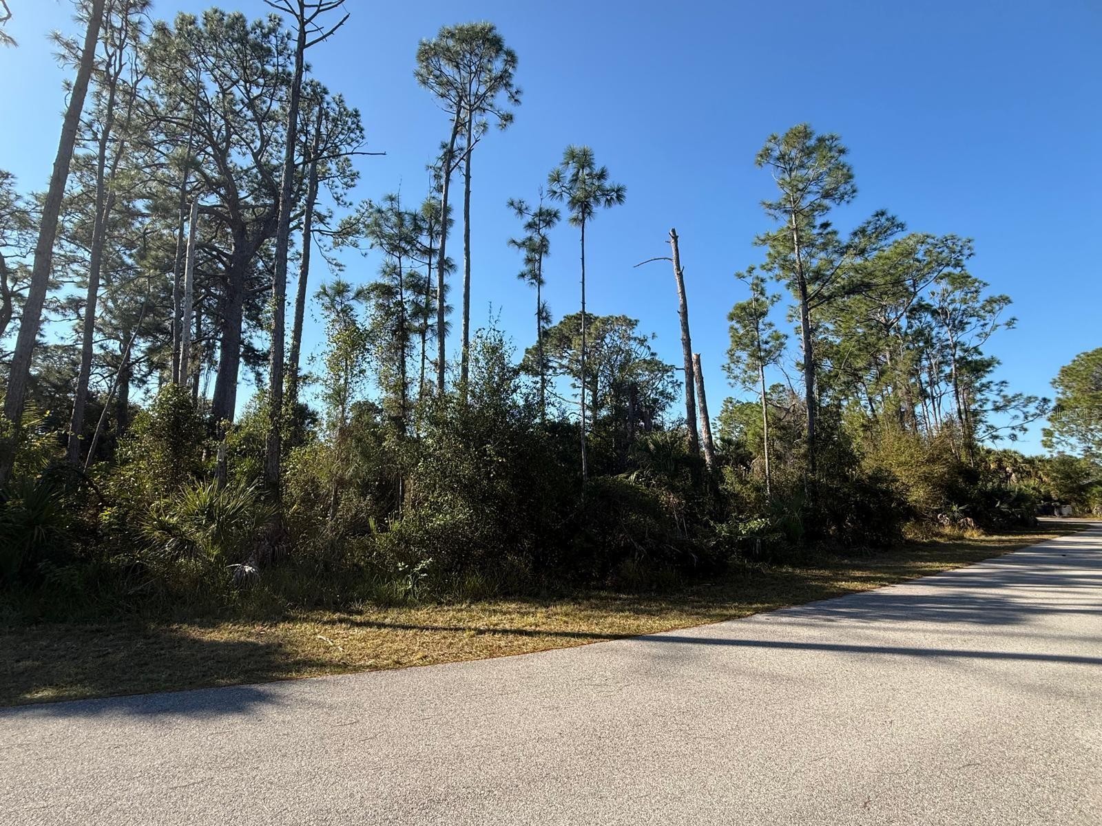 LOTS #2 & #3 DUSTIN RD