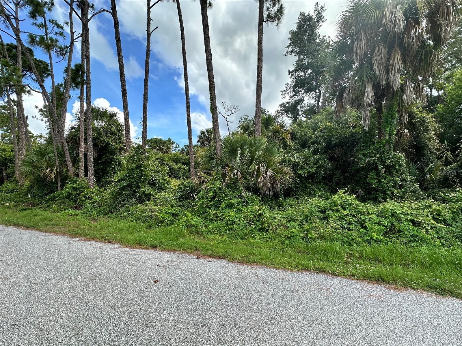 RUFUS RD