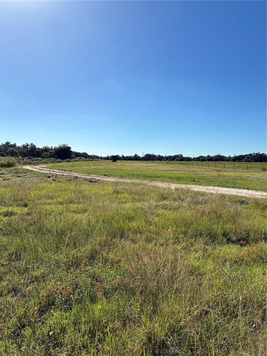 16418 COKER GULLY