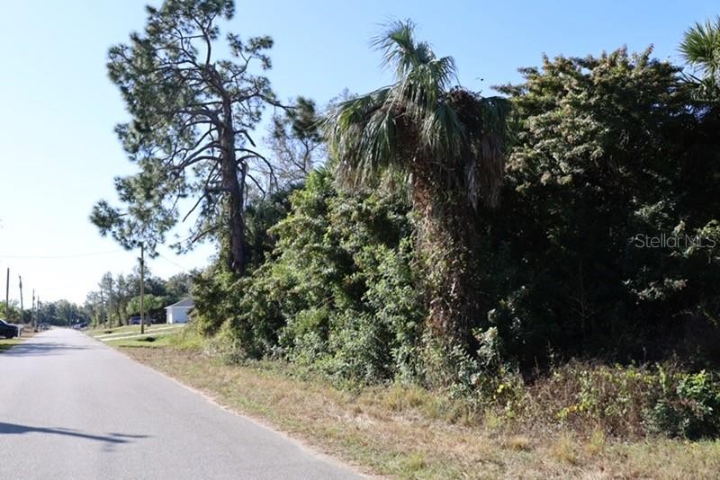 Lot 17 NEW LONDON ST