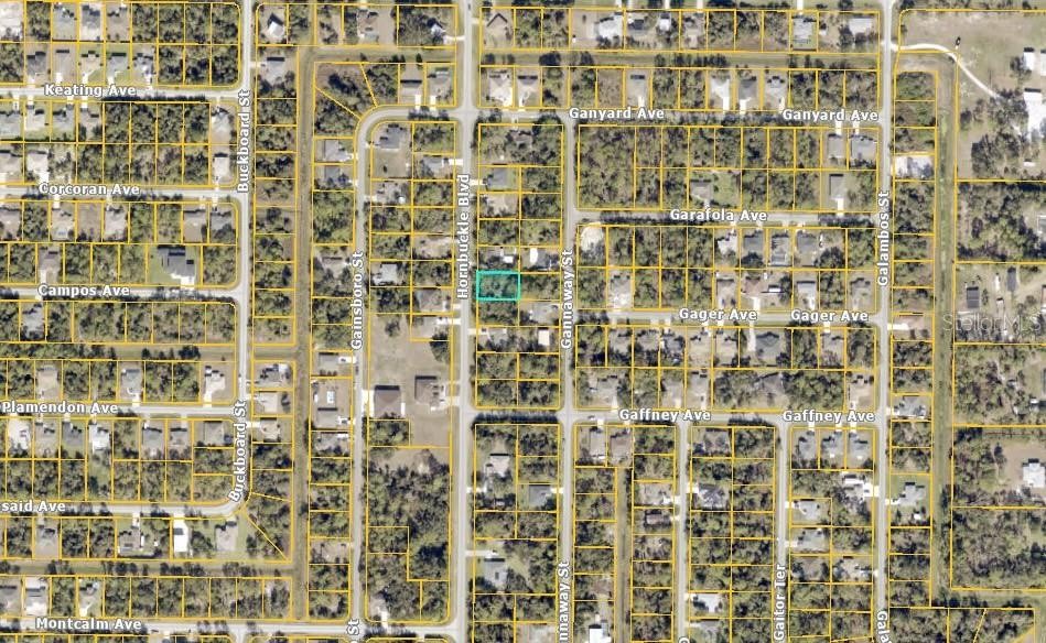 HORNBUCKLE BLVD