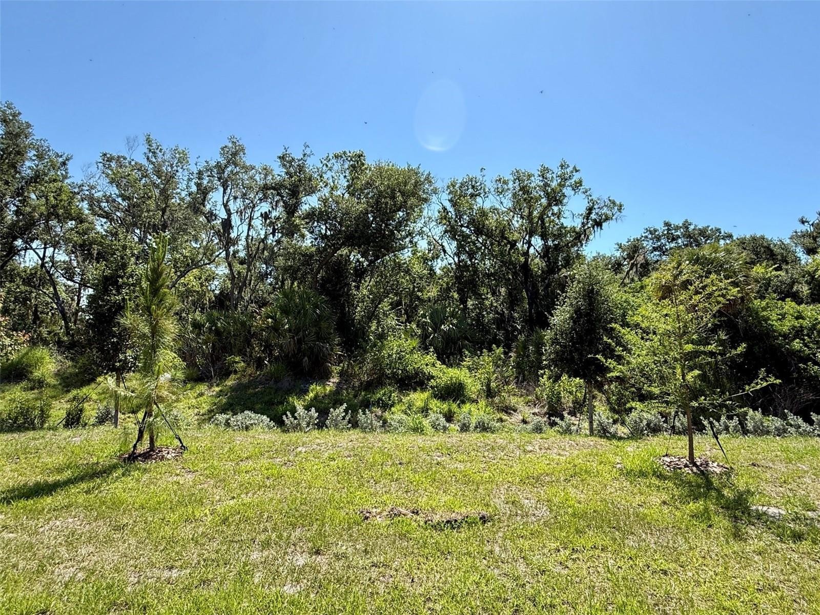 10874 CURVING CREEK LOOP