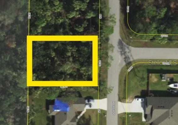 Lot 49 DULL ST